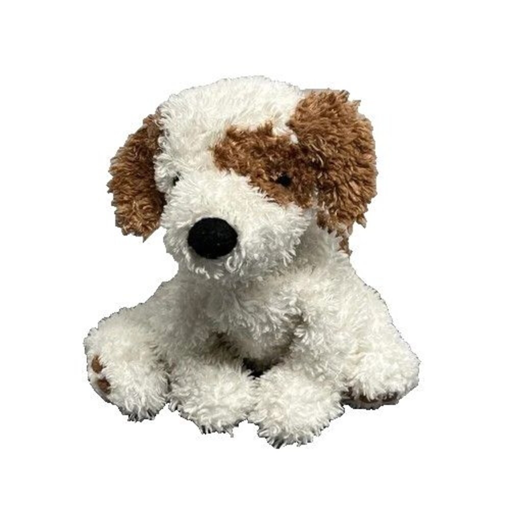 Raggedy Ann Puppy Dog Plush Kohls Cares Andy Rags Floppy White Brown Floppy 12"